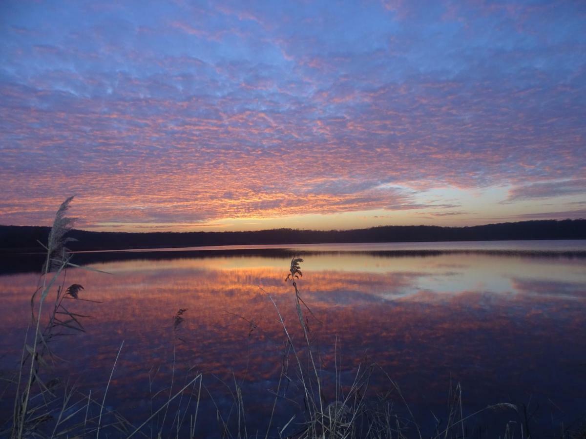 Gite De L'Etang Belval-en-Argonne エクステリア 写真