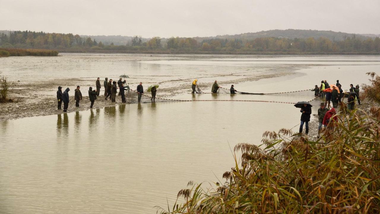 Gite De L'Etang Belval-en-Argonne エクステリア 写真